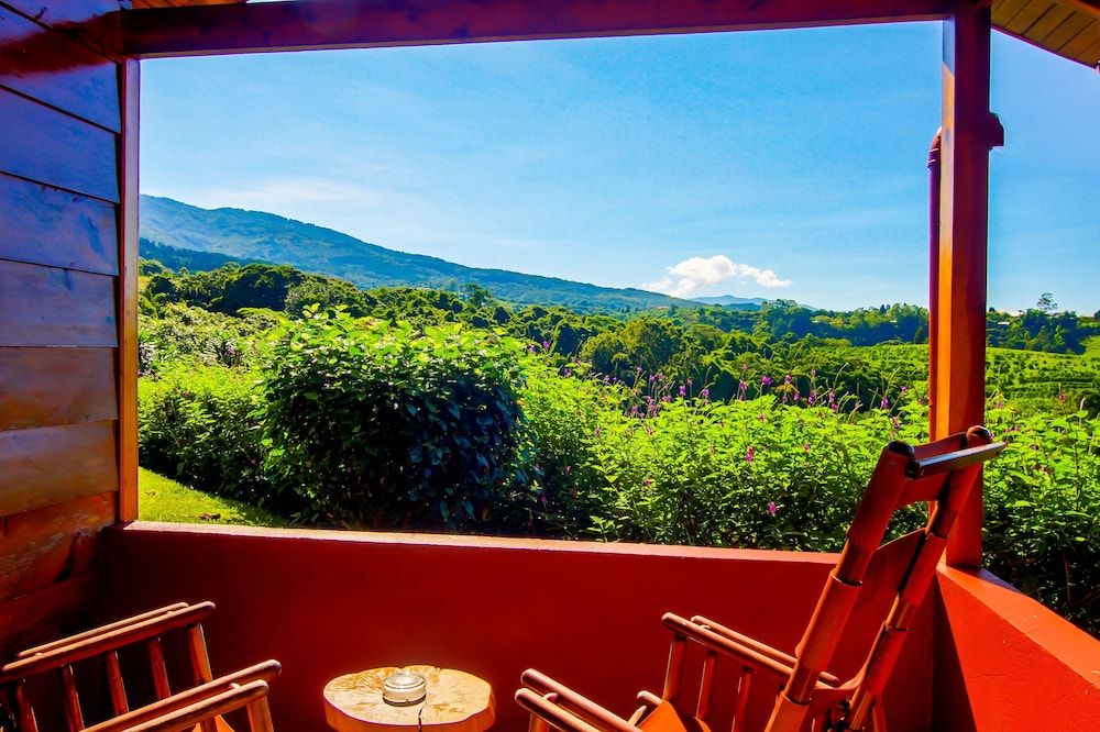 Hotel Mango Valley Superior Double Room, 1 Queen Bed 6