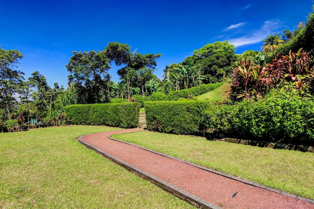 Hotel Mango Valley Standard Double or Twin Room 6