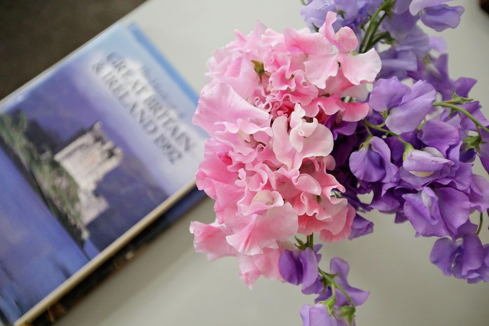 Quiet Historic Mews- Hyde Park Three-Bedroom Apartment 16