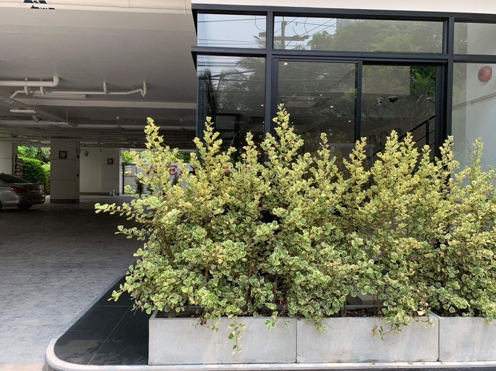 undefined Pacific Residence 39 7