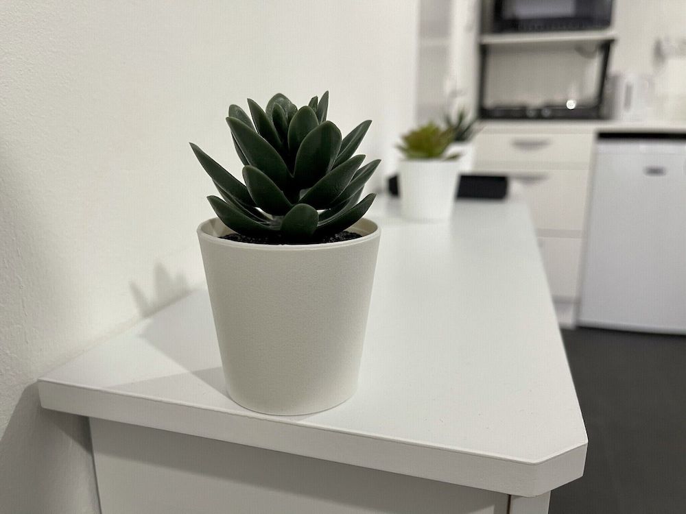 undefined Wisteria Studio 6