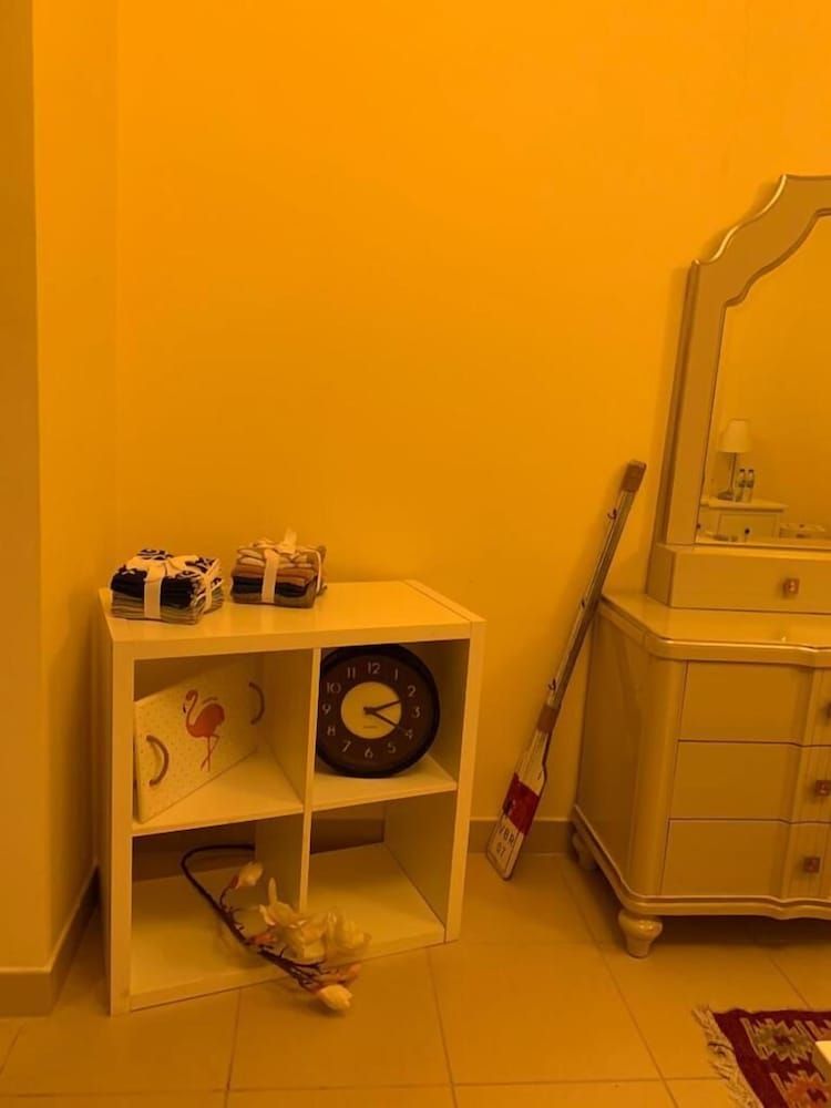 undefined Downtown dubai views 8