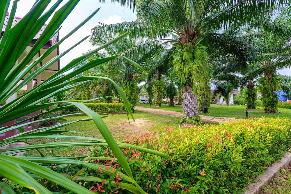 undefined Green Garden House 8