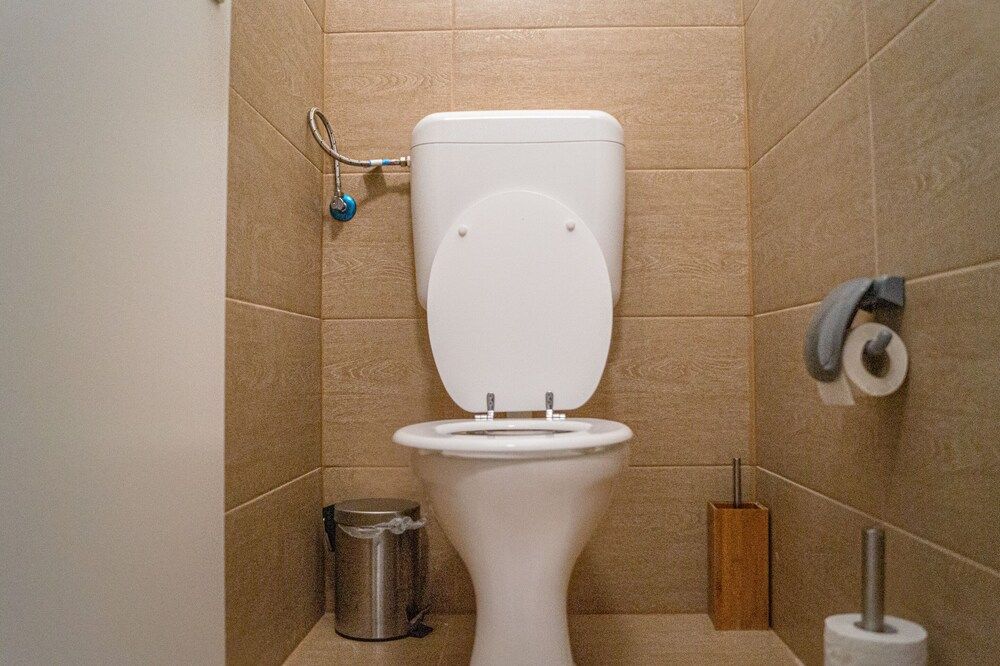 Raised toilet seat