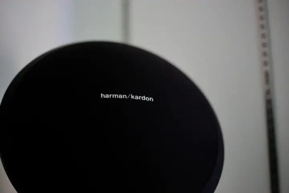 undefined Real Kinshi 301 10