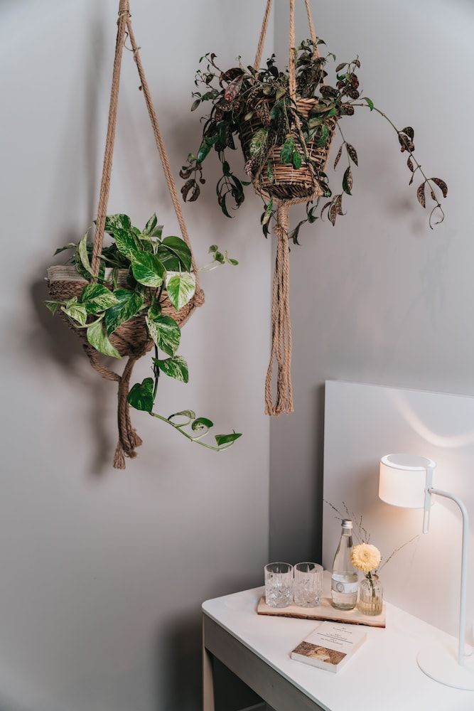 The Blasky Frankfurt Blasky Four 4