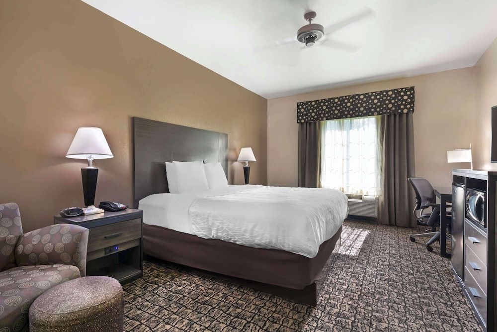 Standard Room, 1 King Bed, Accessible, Refrigerator & Microwave