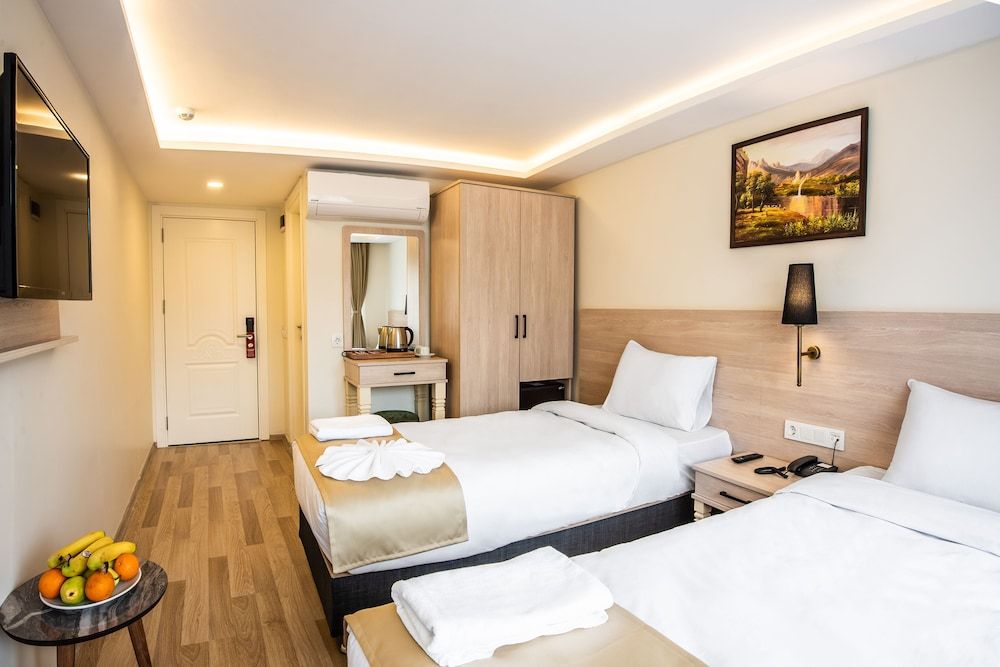 Royal Bosphorus Hotel Standard Double or Twin Room 2