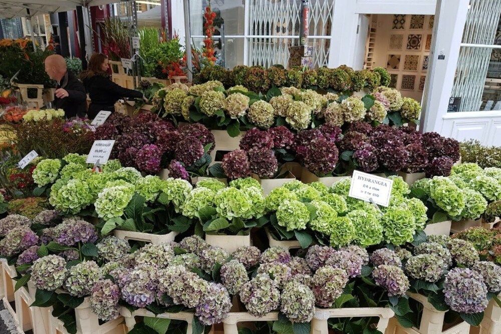 Beautiful 1 Bedroom With Balcony Near Mile End Apartment (1 Bedroom) 20