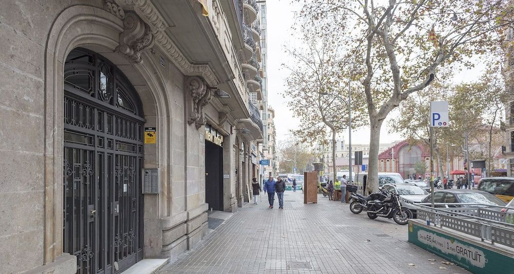 undefined Alcam Classic Urgell 2