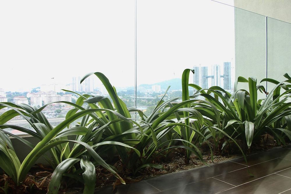 Damai 88 Condominium Family Apartment, 2 Bedrooms (Superior) 30