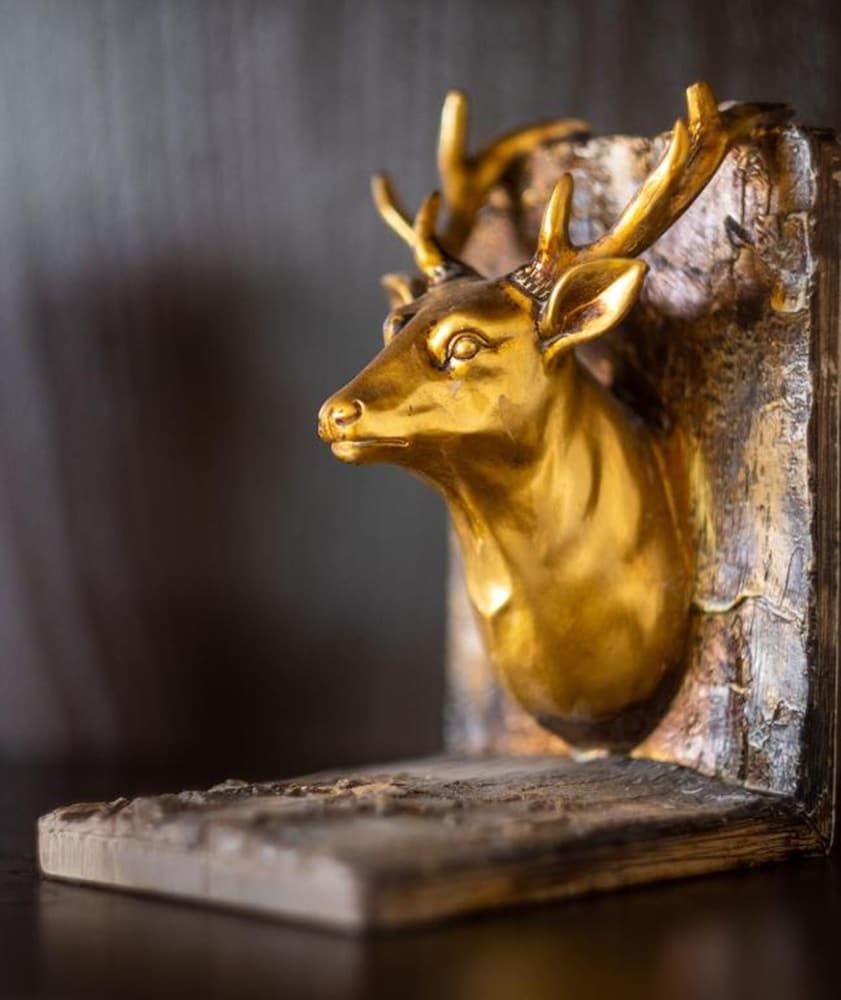 Vienna Luxury Apartments Schönbrunn Studio 4