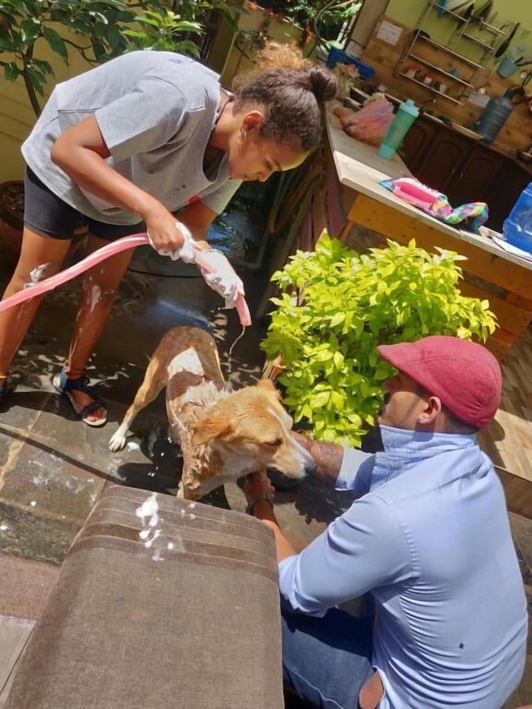 undefined Hotel Yog - Hostel 6