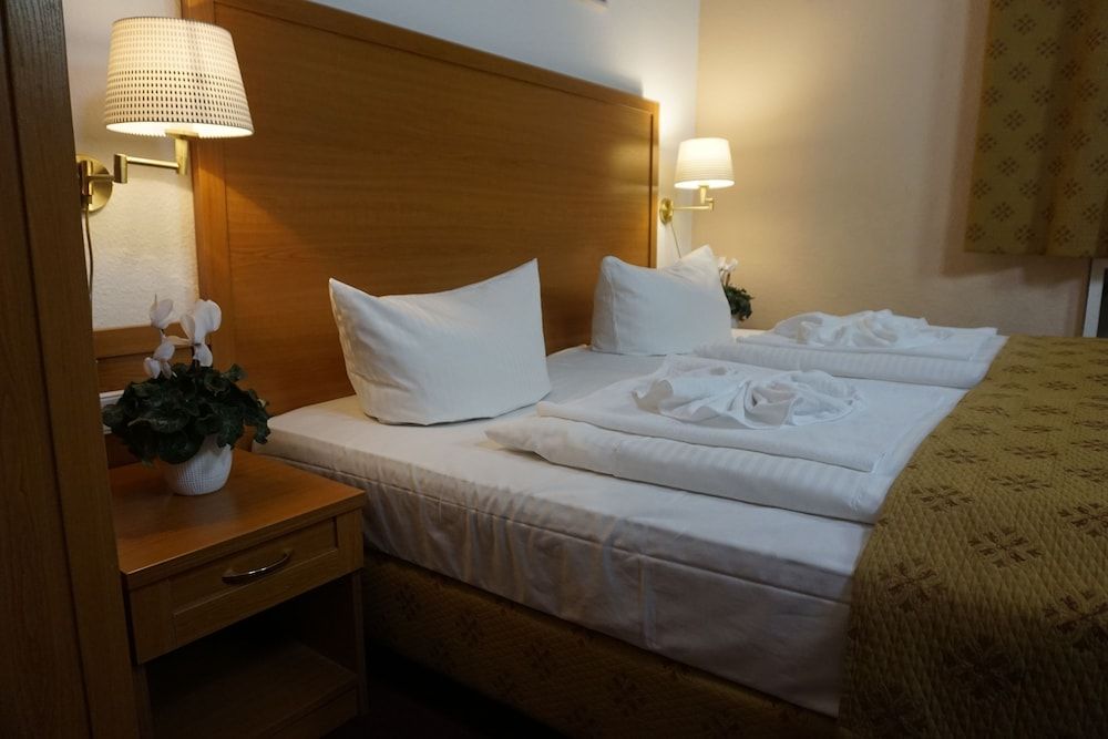 Hotel Aster Double or Twin Room 6