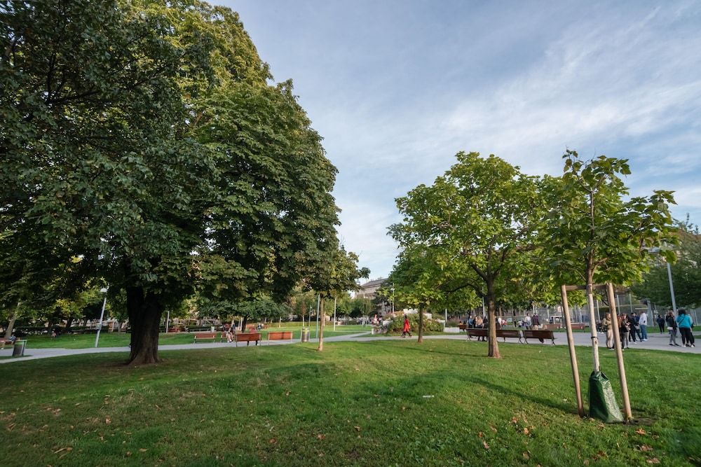 Cozy new stylish 15 min to the center Apartment 22