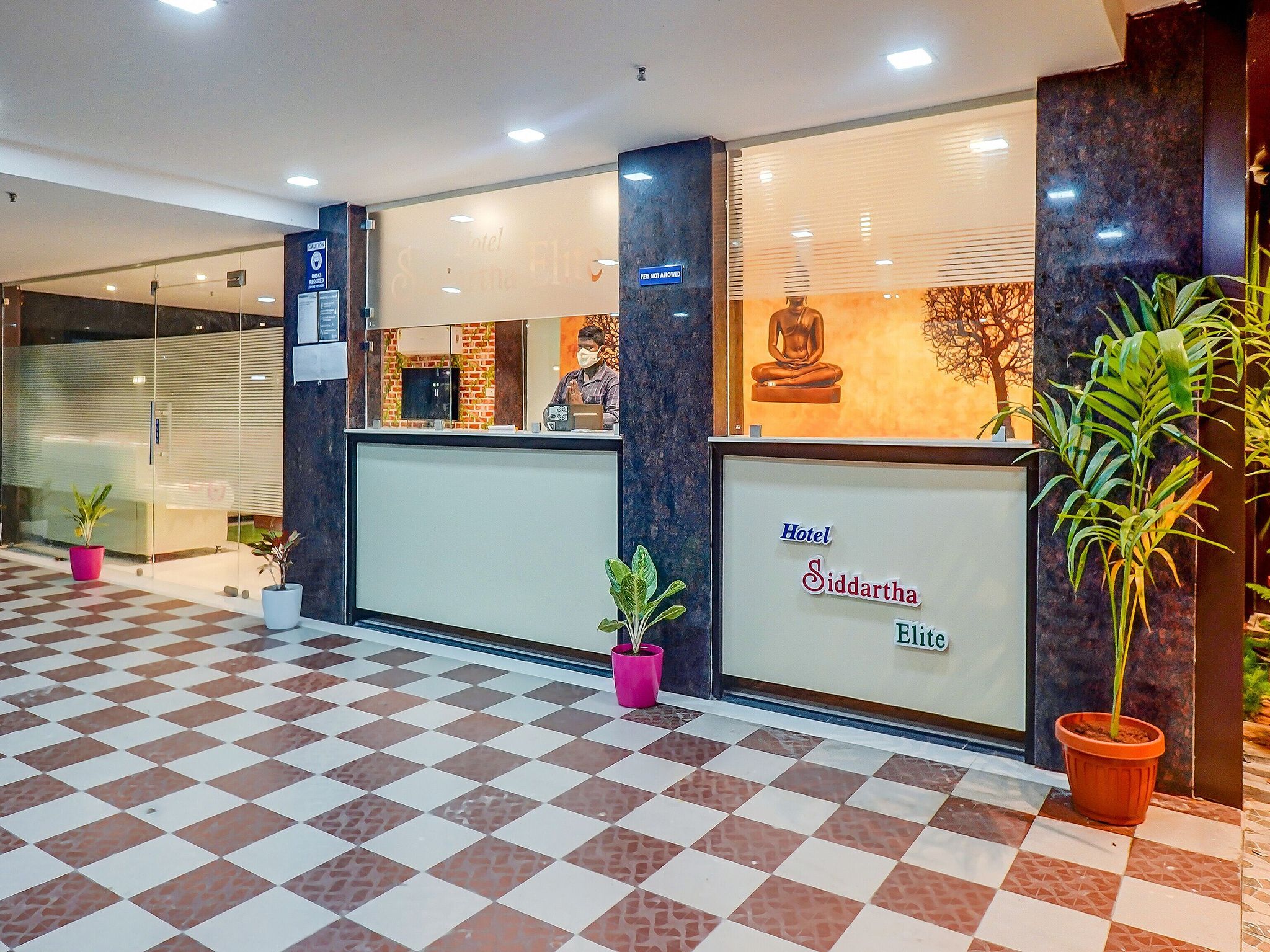 undefined Super Capital O Siddartha Elite 2