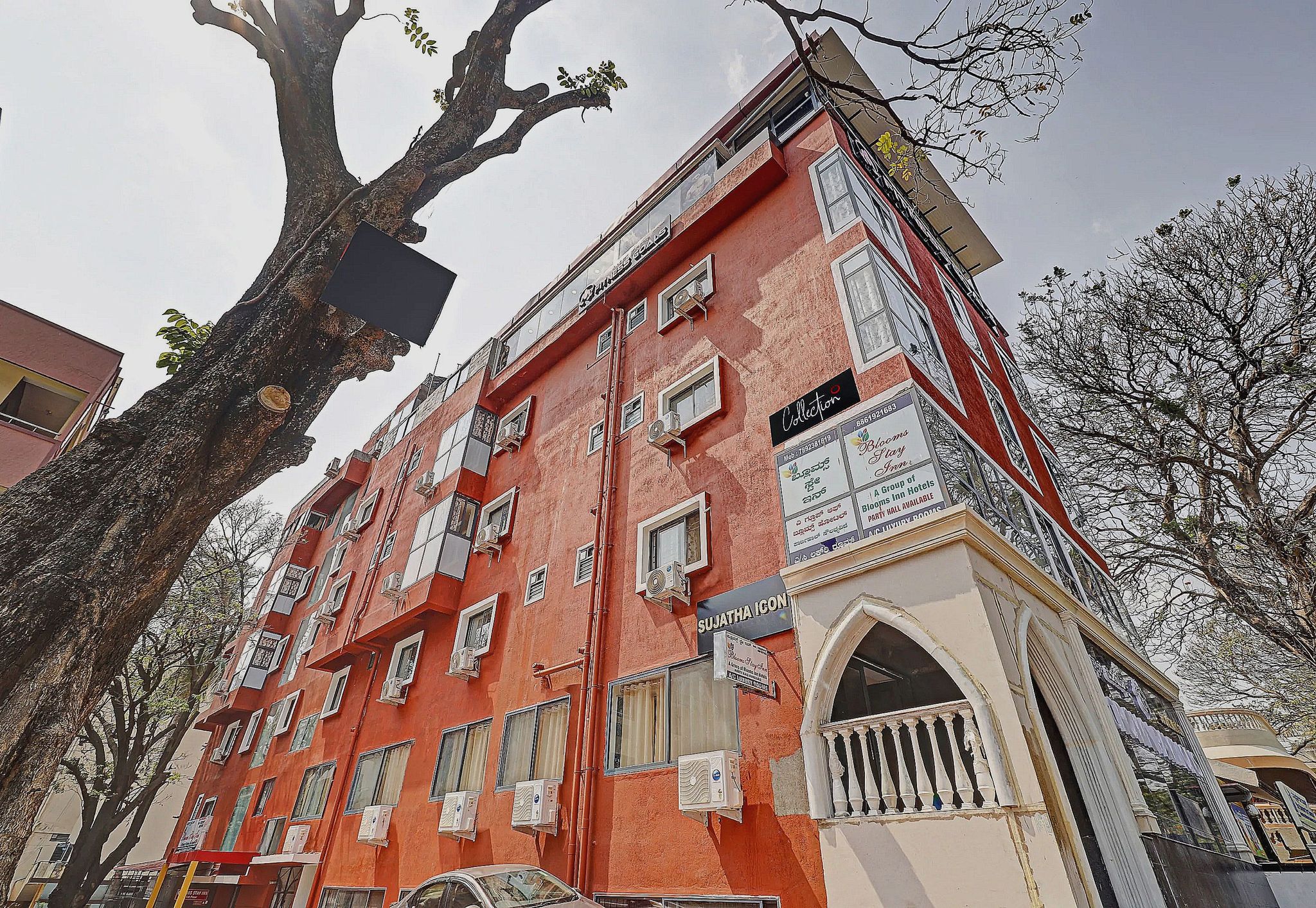 undefined OYO 88025 Blooms Luxury 6