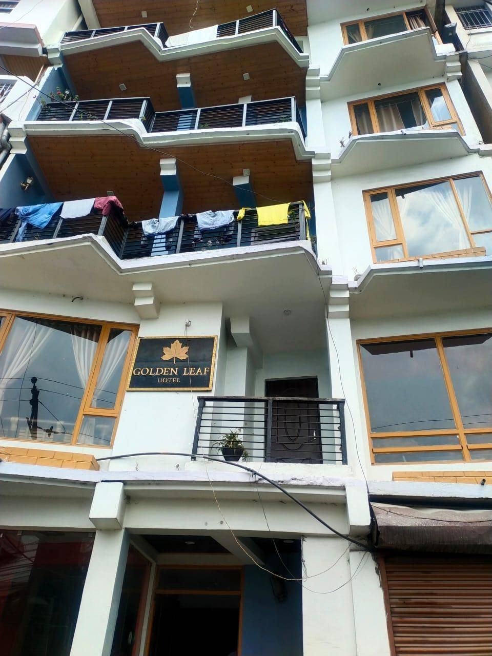 undefined The Golden Leaf 6