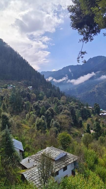 Mozo Inn and Cafe Jibhi