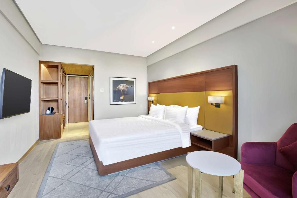 Radisson Hotel Nathdwara Superior Room with Valley View 3