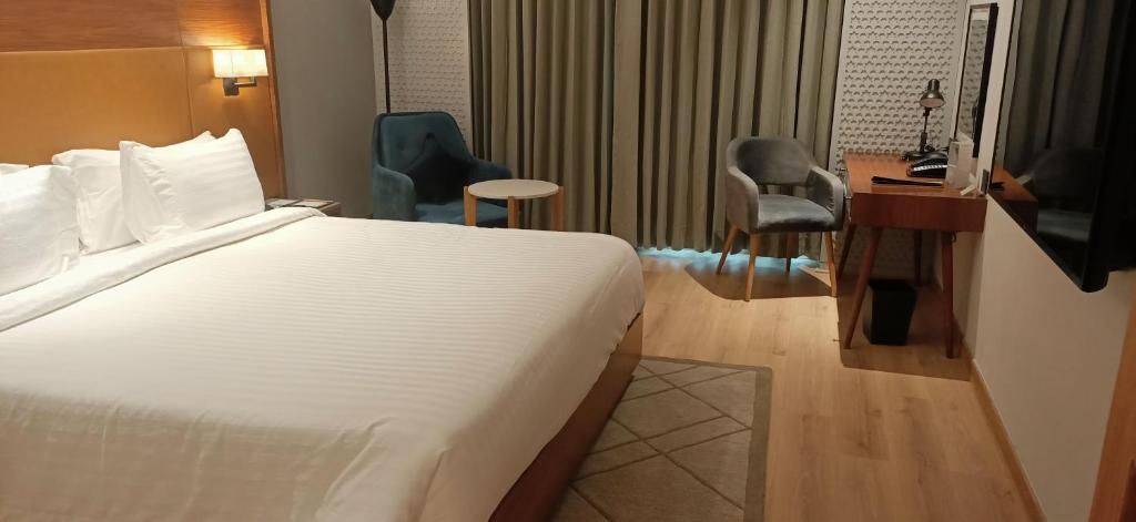 Radisson Hotel Nathdwara Superior Room with Valley View