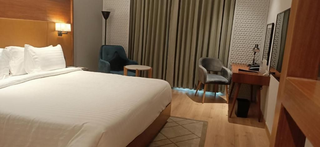 Radisson Hotel Nathdwara Superior Room with Valley View 4