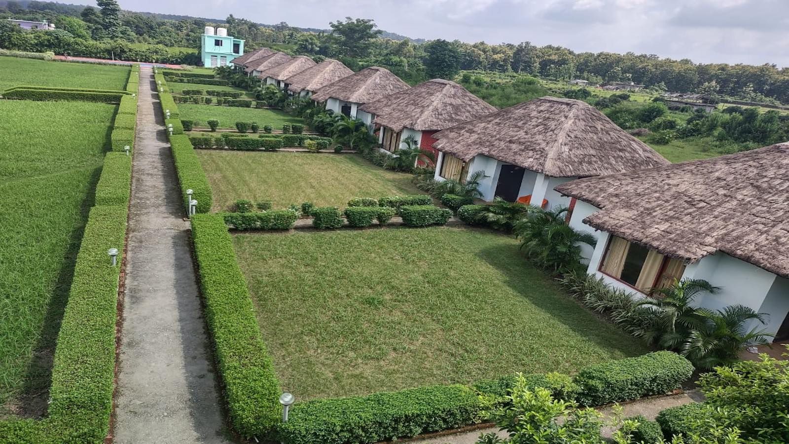 undefined Beyond Stay Corbett Next Forest 2