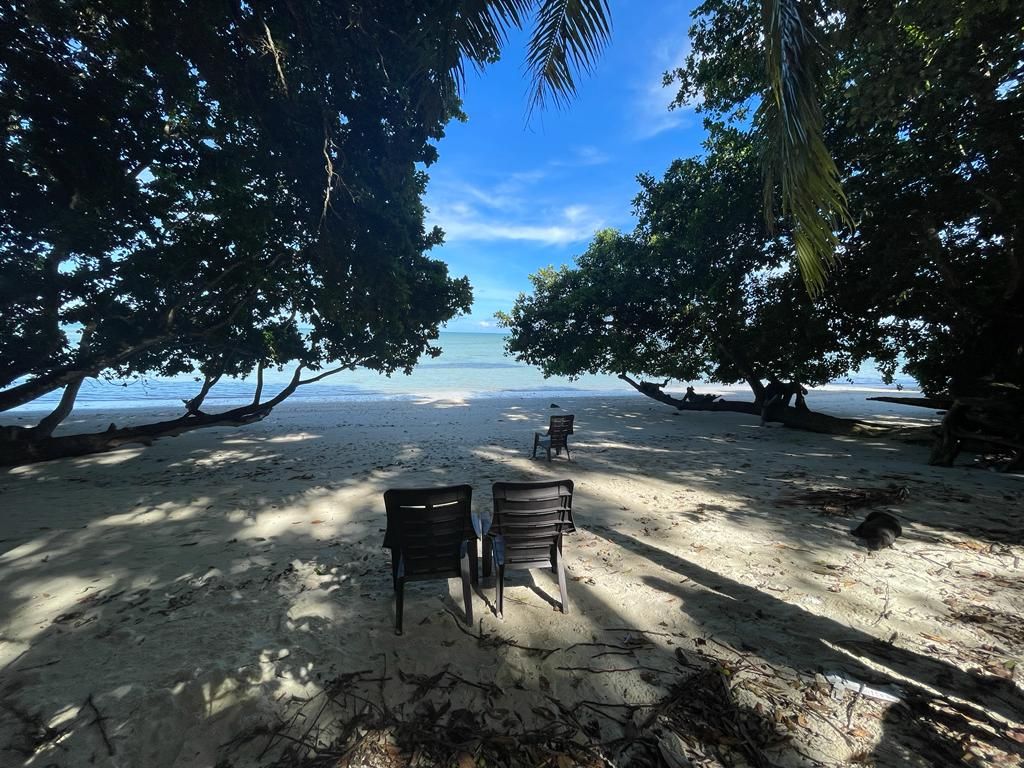 Green Wood Beach Resort