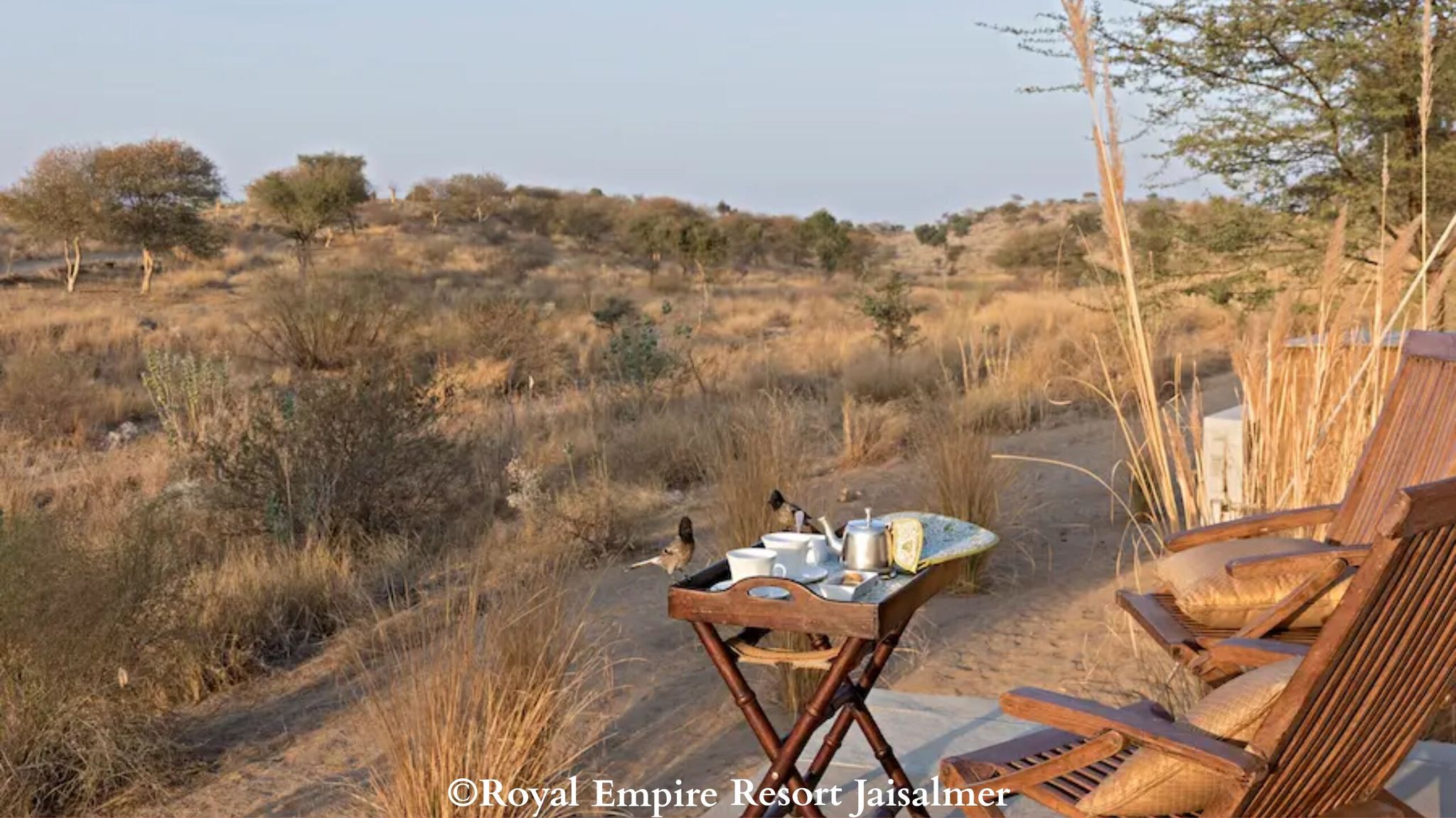 undefined Royal Empire Camp & Resort Jaisalmer 8