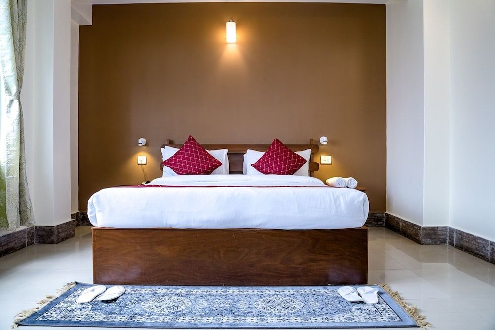 Sparrow Juniper Tree Near Mg Marg Comfort Room 23