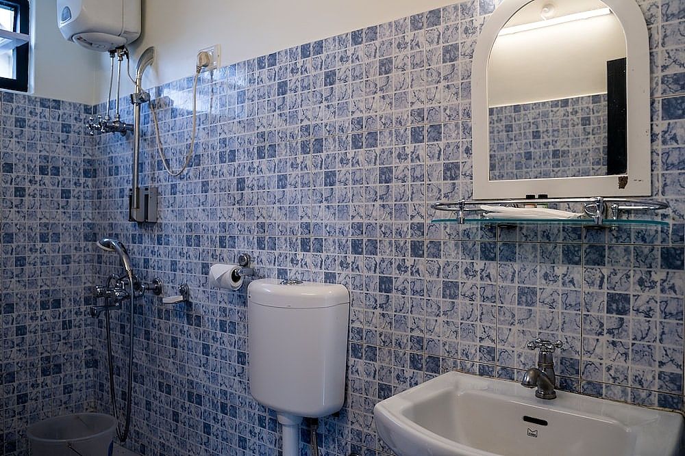 Sparrow Juniper Tree Near Mg Marg Comfort Room 30