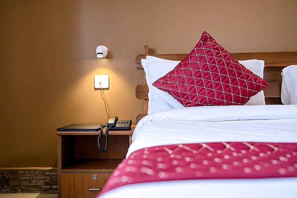 Sparrow Juniper Tree Near Mg Marg Comfort Room 14