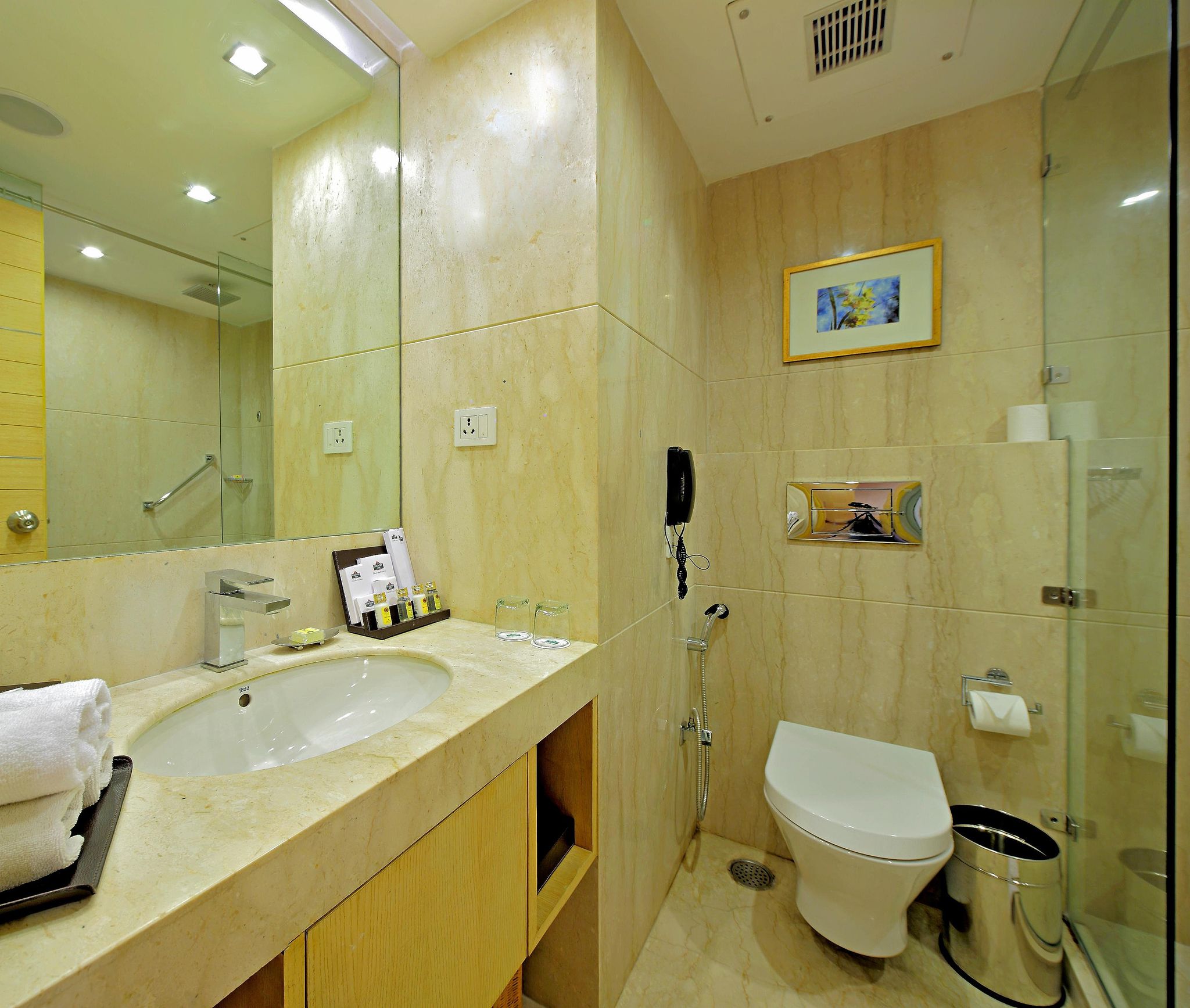 Zone Connect Saket Delhi Premium Room 5