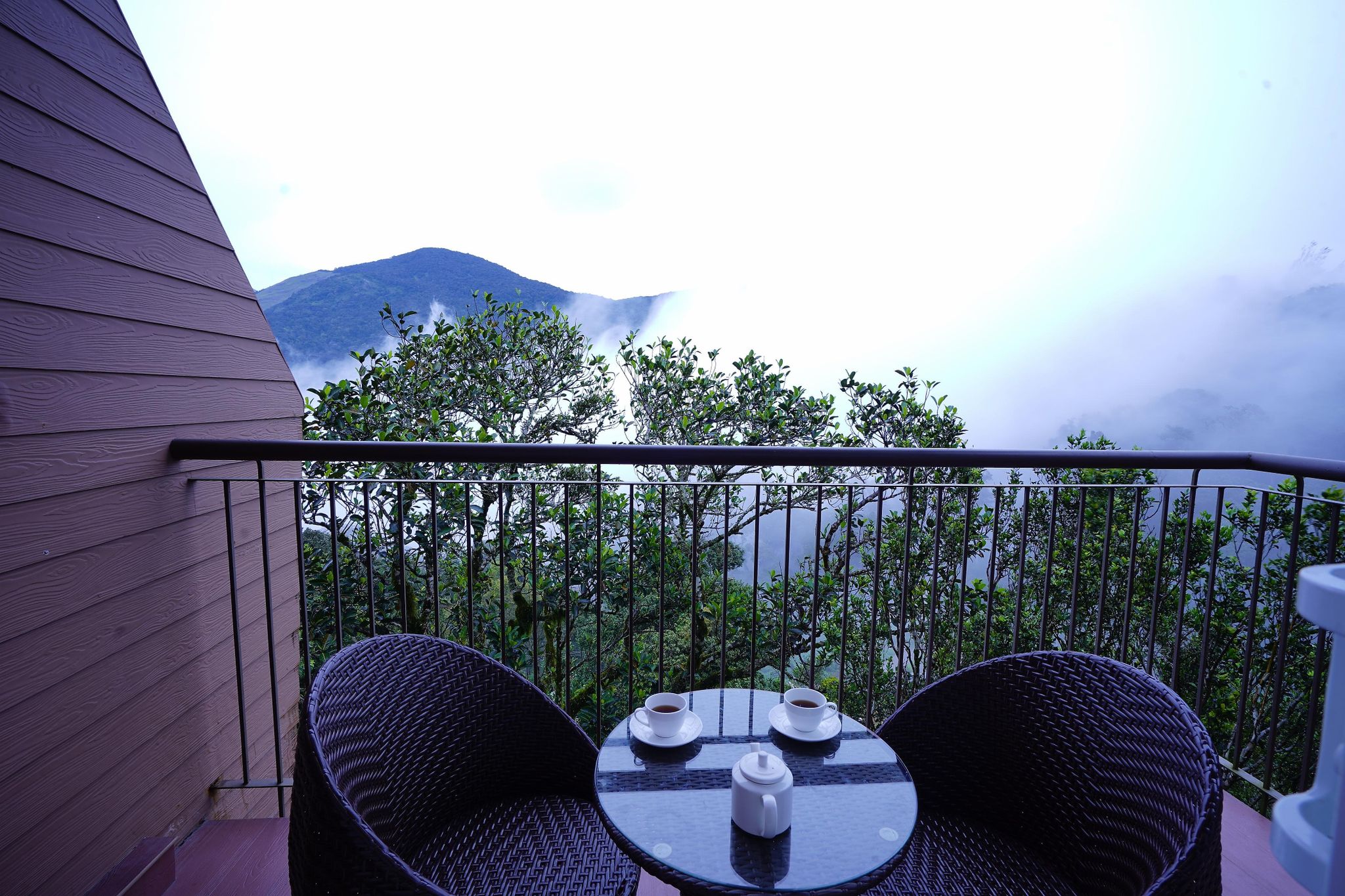 Shola Crown Resort, Munnar Luxury Suite 4
