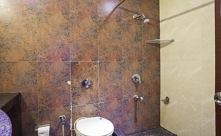 Hotel Raj Continental Deluxe Double Room 6