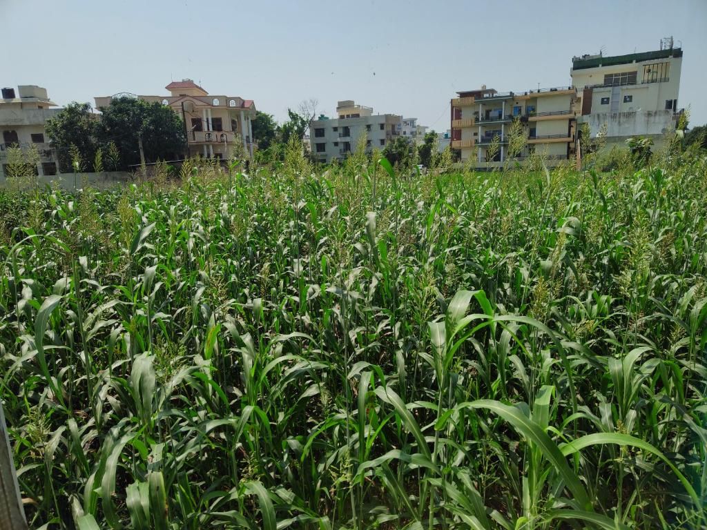 Hotel Guru Surbhi Premium Room 13