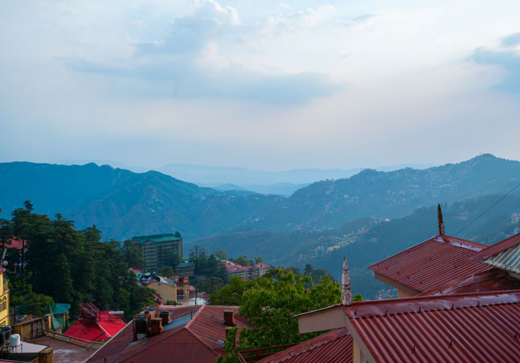 The Hosteller Shimla