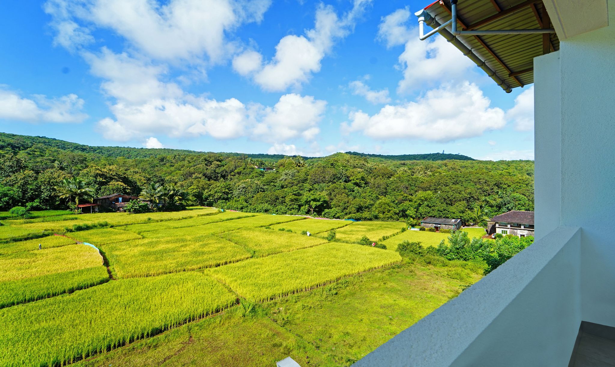 Hotel View