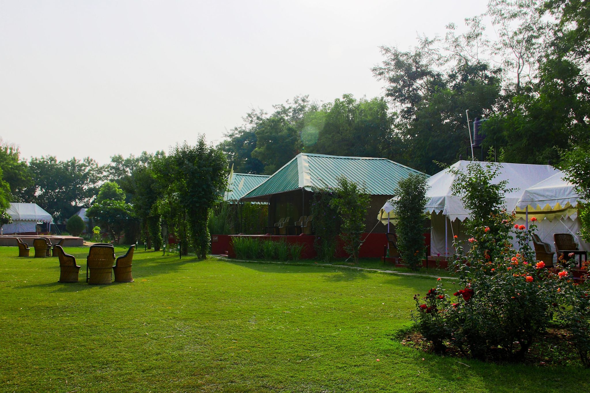 undefined Jungle View Resort 2