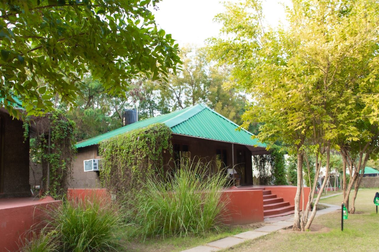 undefined Jungle View Resort 7