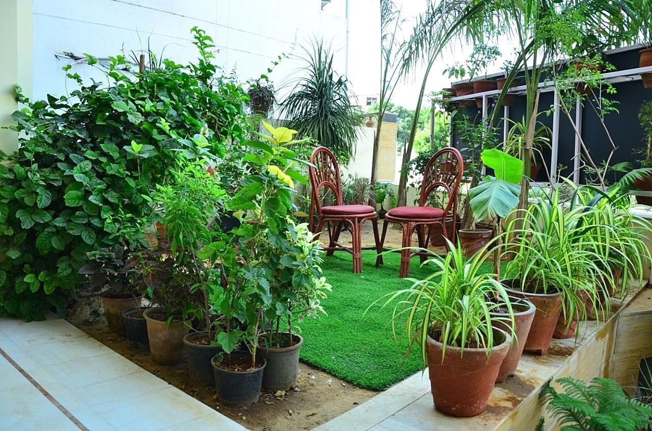 Garden