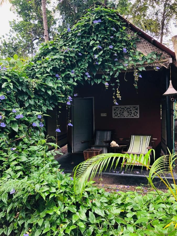 The cliff cottage varkala