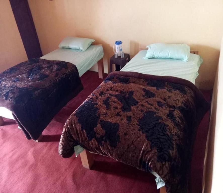 Single Bed in 6-Bed Dormitory Room