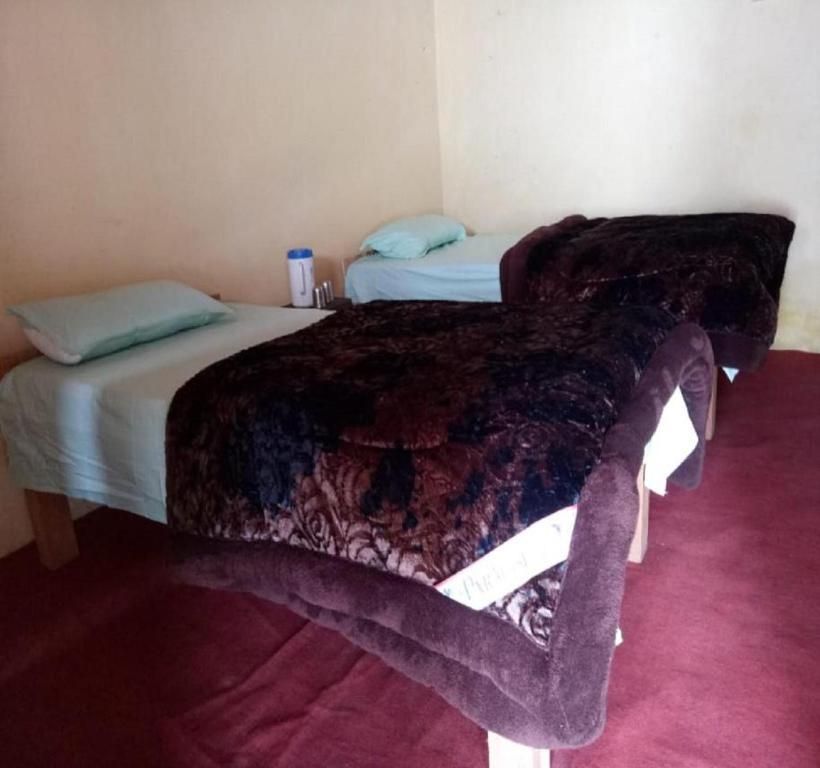 Single Bed in 6-Bed Dormitory Room