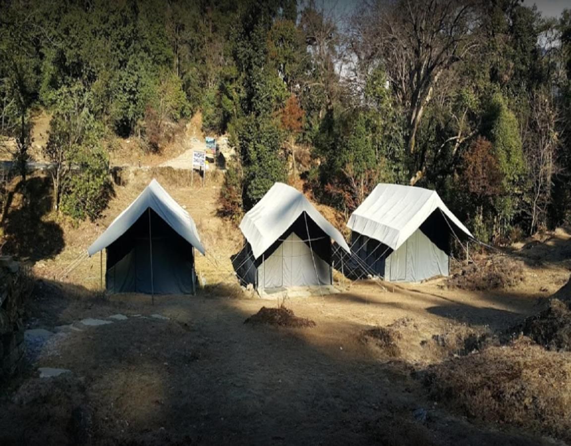 Camping at Natures Nest