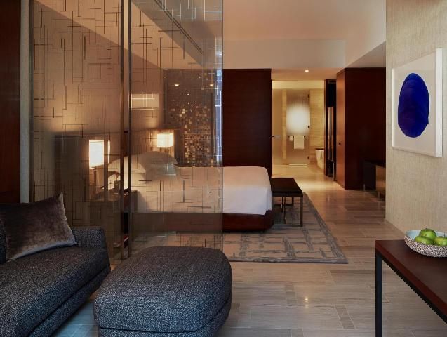 1 King Bed Studio With ADA Shower