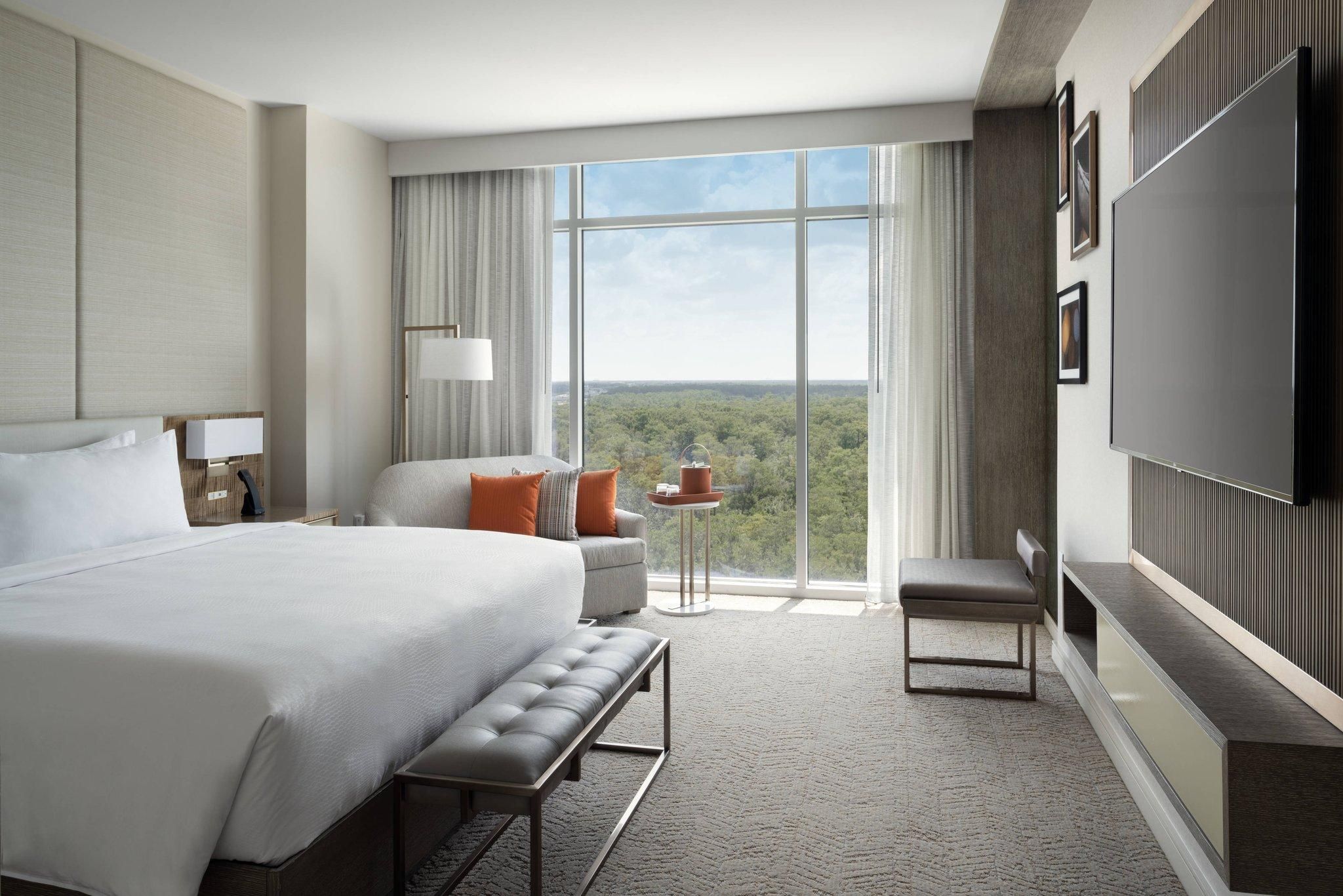 1 Bedroom Executive Suite, 1 King, Sofa beds: 2, Pool view