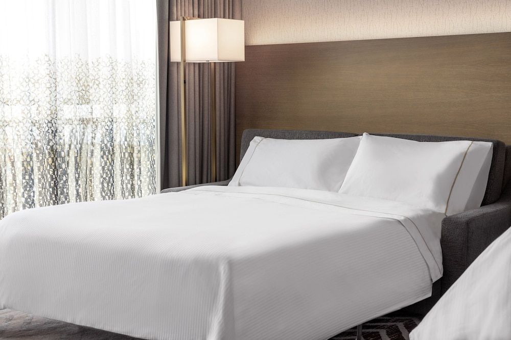 Room, 1 King Bed with Sofa bed, Park View