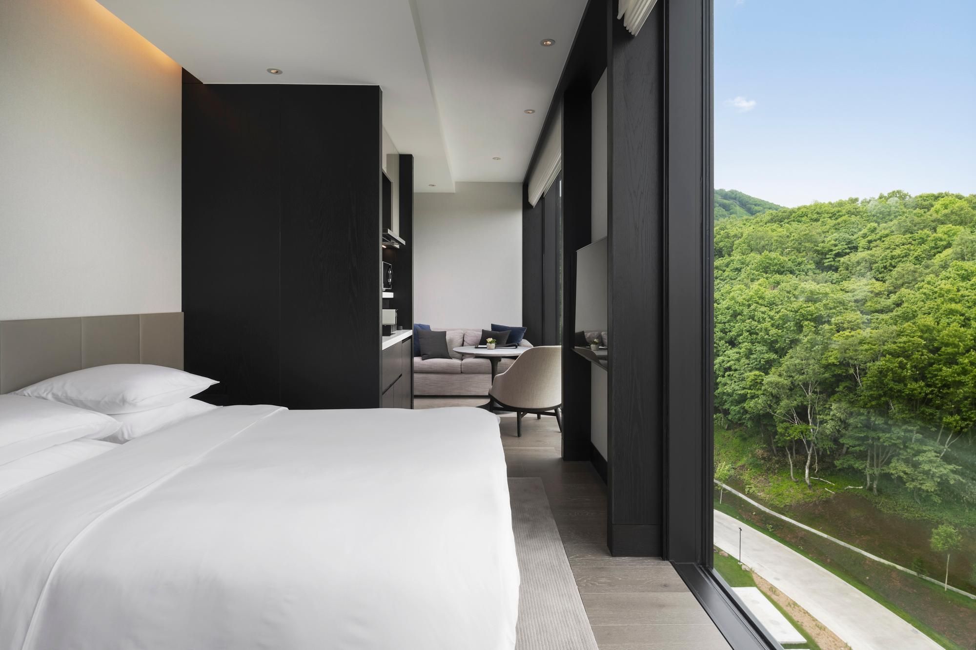 1 King Studio Residence