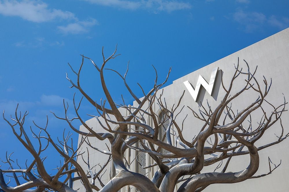 undefined W Muscat 3